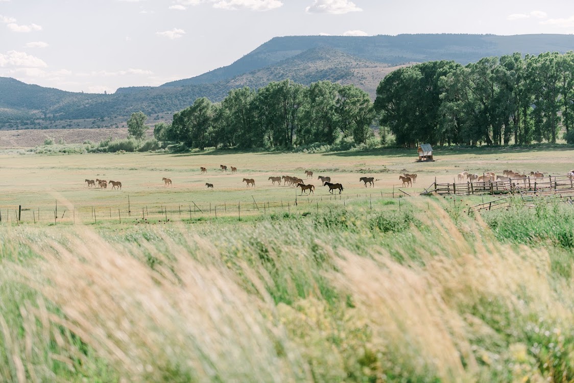 4 Eagle Ranch, venue in Colorado