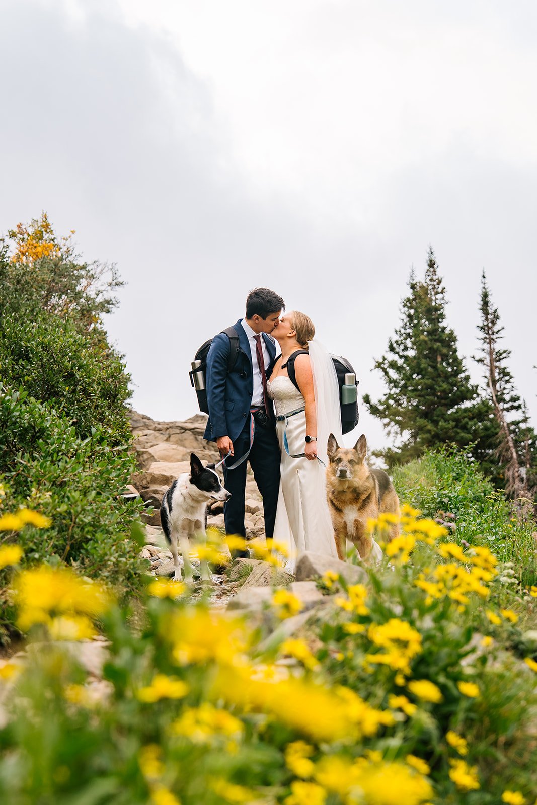 Abby Shepard Photography photo 4