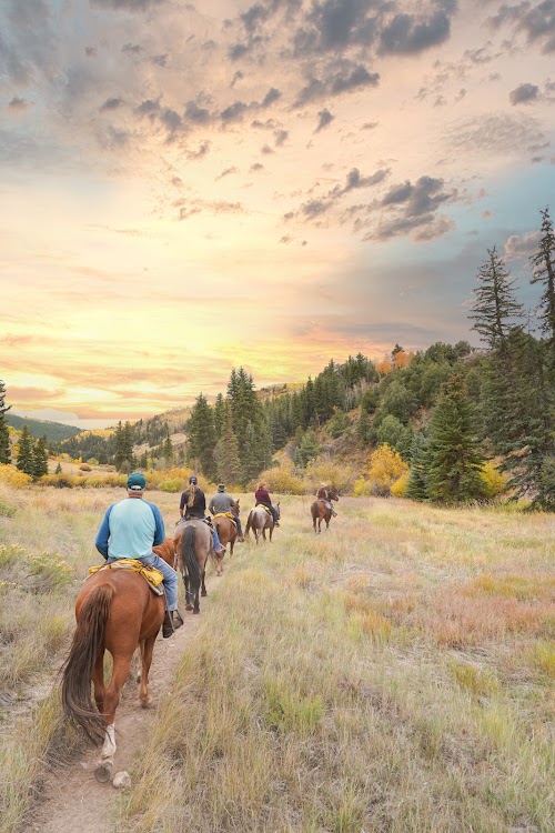 Bearcat Stables, venue in Colorado