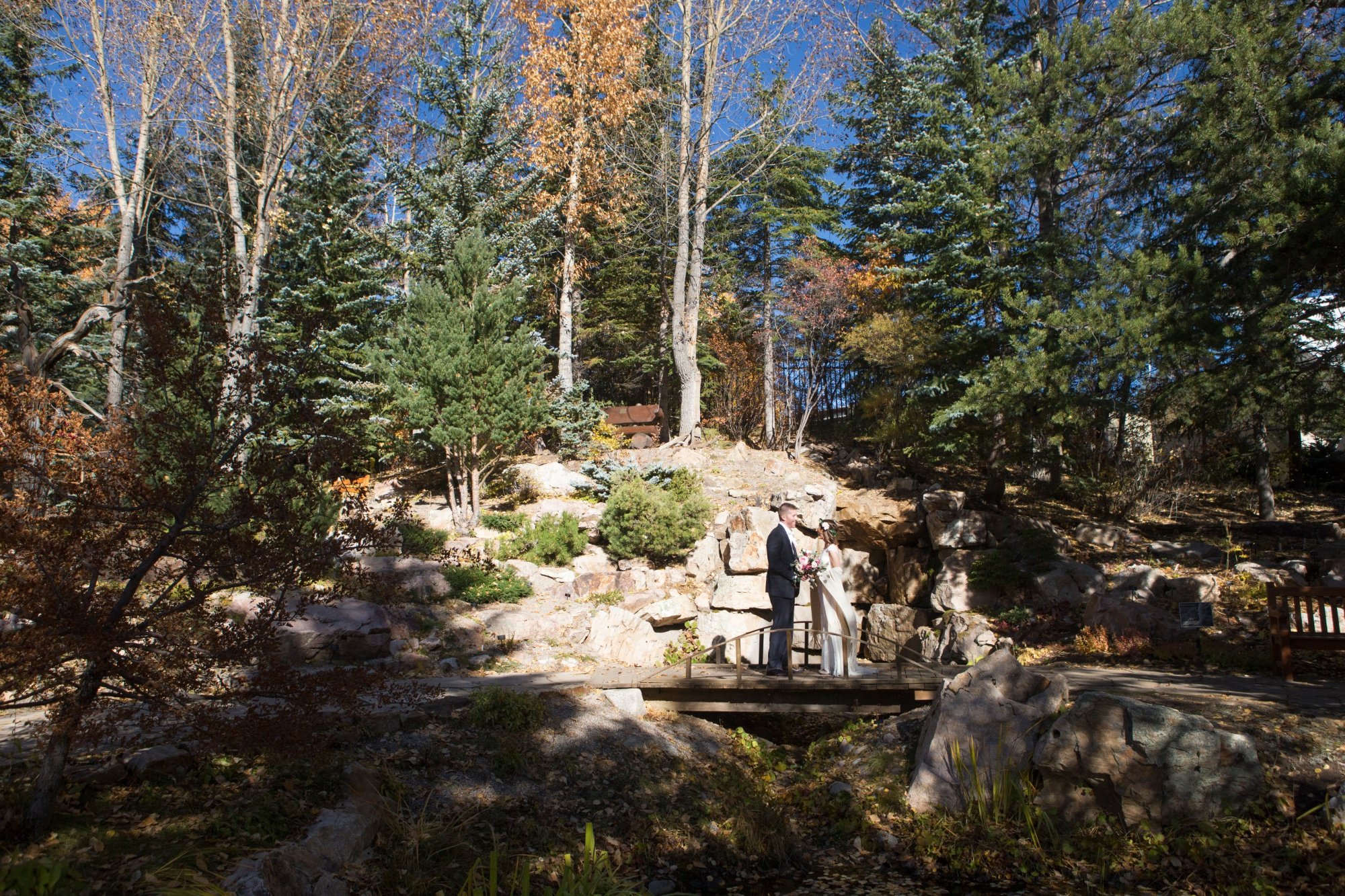 Betty Ford Alpine Gardens photo 2