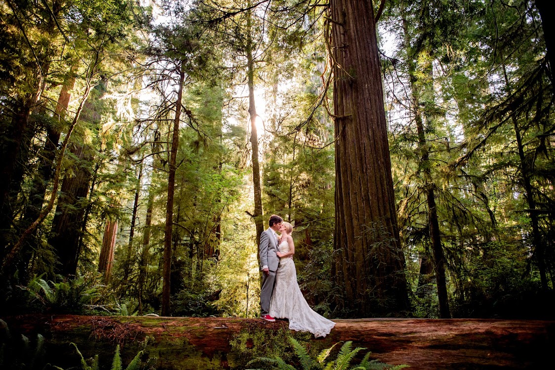 Jenae Lopez Photography, photographer in Colorado